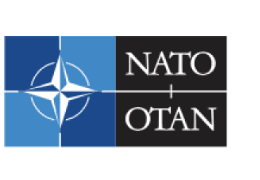 North Atlantic Treaty Organization (NATO)